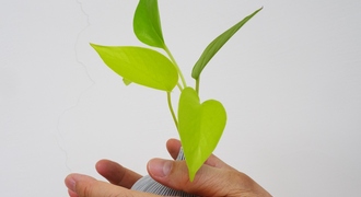 Small image