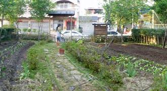 Small image